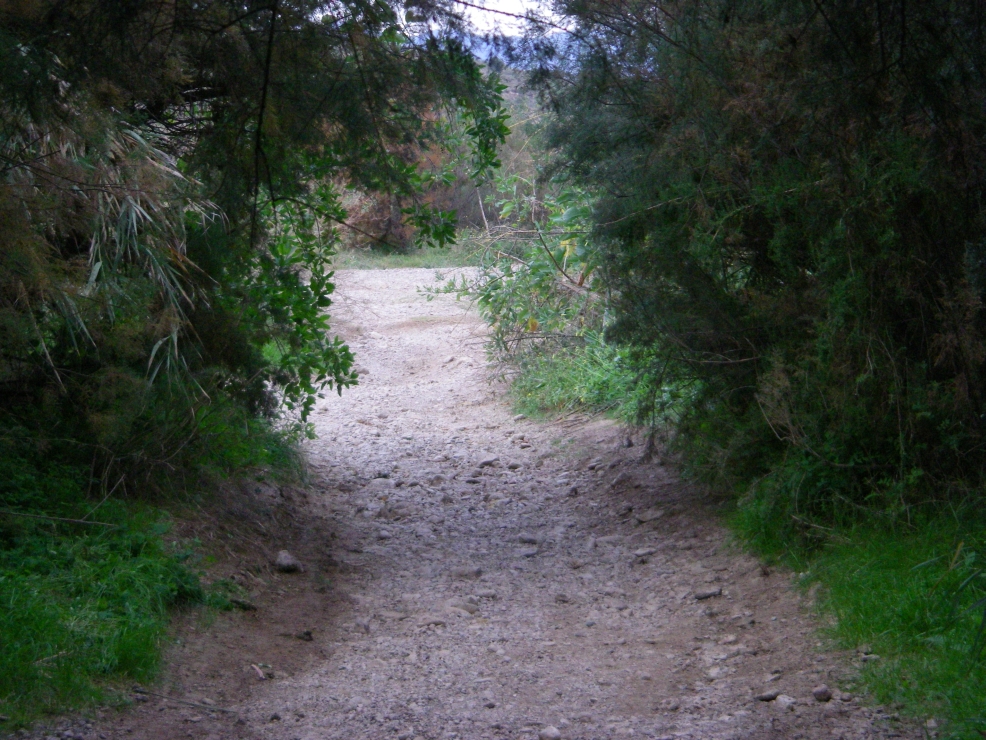 2007-12-26-008-Path