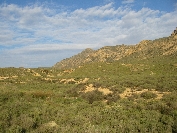 2007-12-26-019-Hills