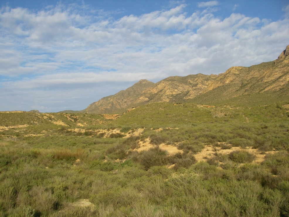 2007-12-26-019-Hills