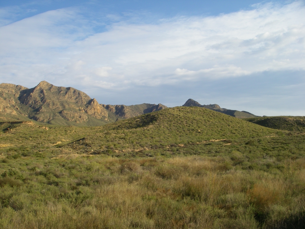 2007-12-26-020-Hills