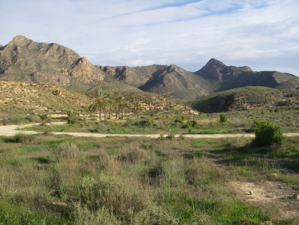 2007-12-26-021-Hills