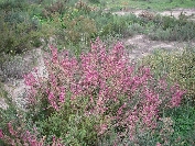 2007-12-26-026-Unknown