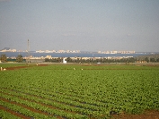 2007-12-28-058-Mar-Menor