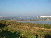 2007-12-29-001-Salinas