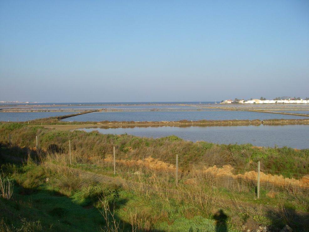 2007-12-29-001-Salinas
