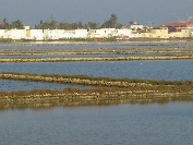 2007-12-29-002-Salinas