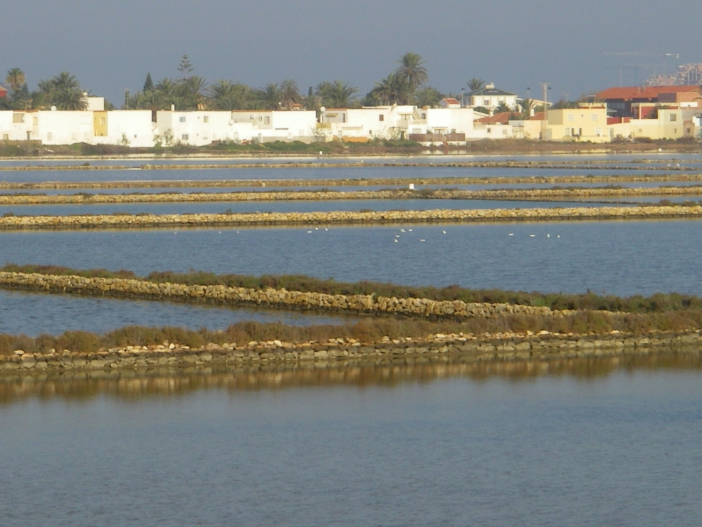 2007-12-29-002-Salinas