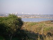 2007-12-29-003-Salinas