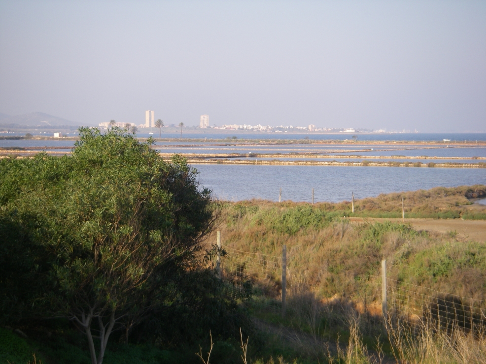 2007-12-29-003-Salinas