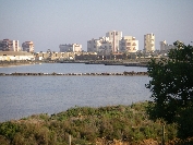 2007-12-29-004-Salinas