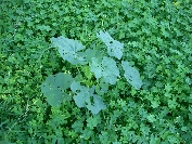 2007-12-29-013-Unknown