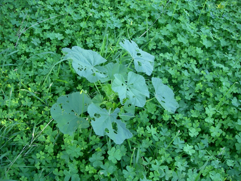2007-12-29-013-Unknown