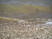 2007-12-29-037-Mar-Menor