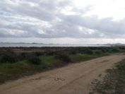 2008-02-10-004-Mar-Menor