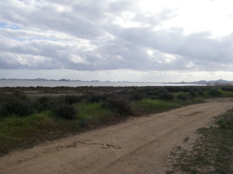 2008-02-10-004-Mar-Menor