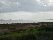 2008-02-10-005-Mar-Menor