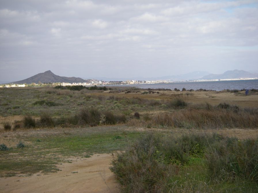 2008-02-10-007-Mar-Menor