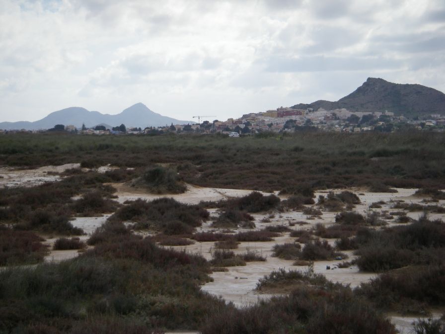 2008-02-10-010-Mar-Menor