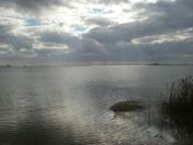 2008-02-11-001-Mar-Menor