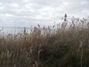 2008-02-11-002-Mar-Menor