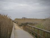 2008-02-11-004-Mar-Menor