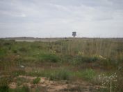 2008-02-11-008-San-Xavier-Airport-Murcia