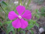 2008-02-13-006-Unknown