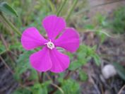 2008-02-13-011-Unknown