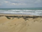 2008-02-13-036-Dunes