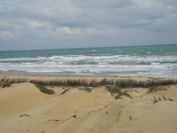 2008-02-13-037-Dunes