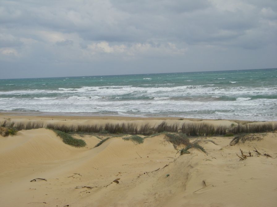 2008-02-13-037-Dunes