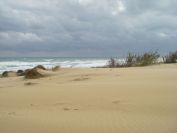 2008-02-13-038-Dunes