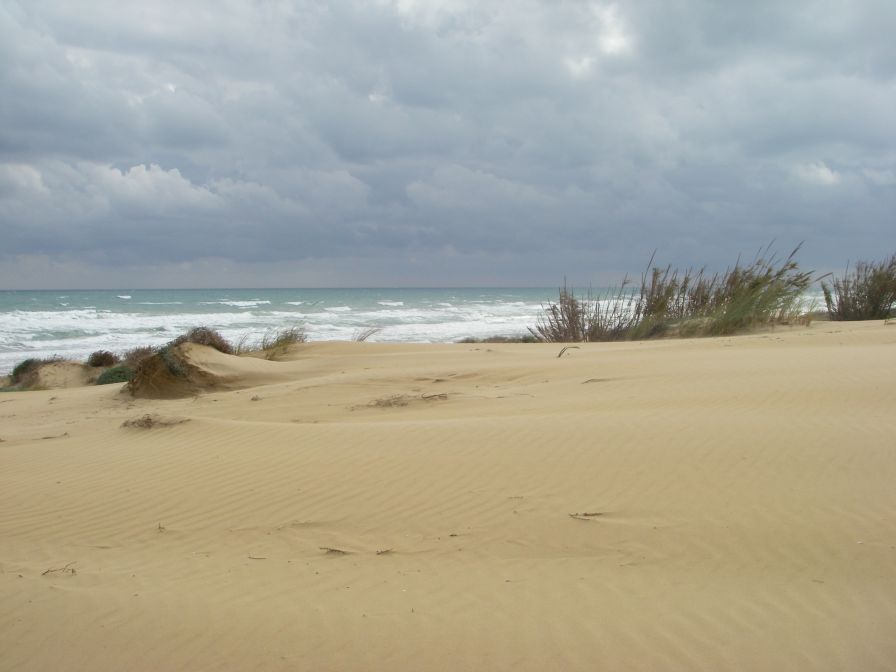 2008-02-13-038-Dunes