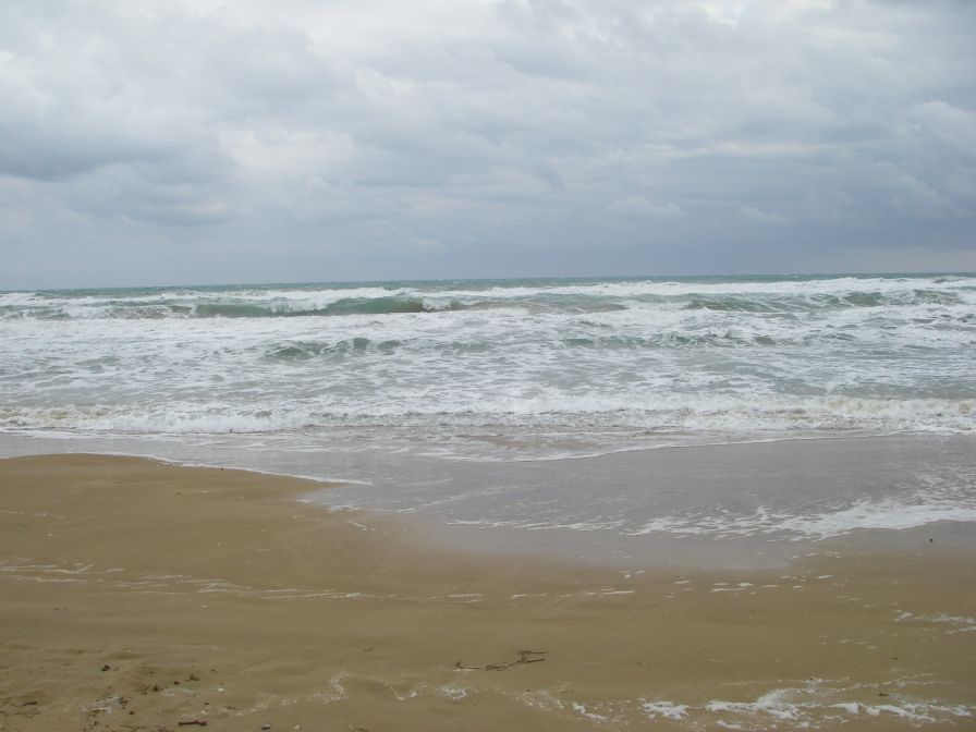 2008-02-13-040-Mediterranean