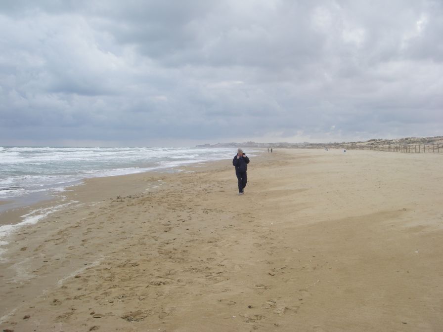 2008-02-13-042-Mediterranean