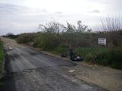 2008-02-13-056-Anne