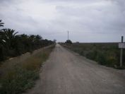2008-02-14-005-Canal-and-Road