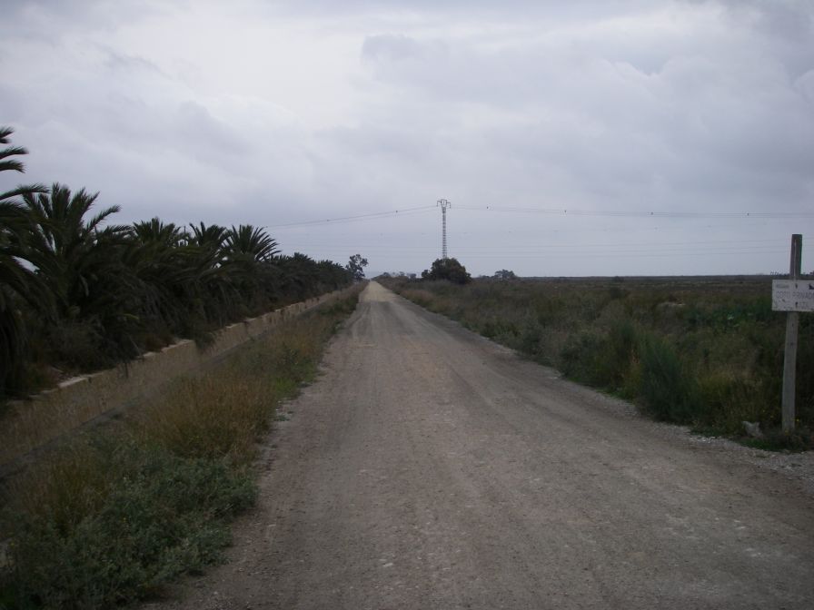 2008-02-14-005-Canal-and-Road