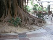 2008-02-15-021-Parque-near-House