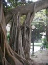 2008-02-15-025-Parque-near-House