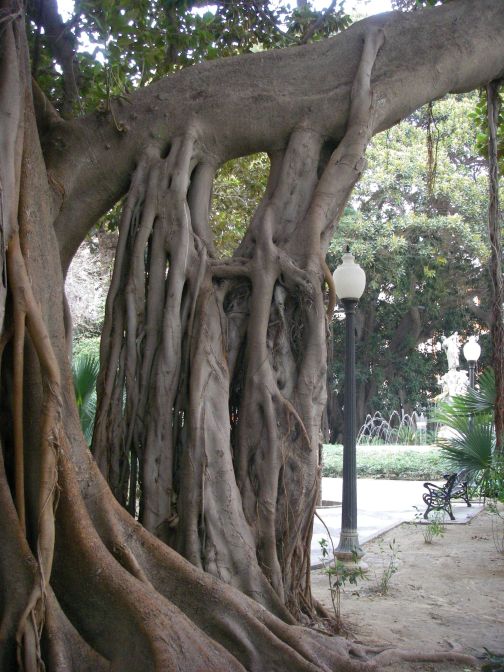 2008-02-15-025-Parque-near-House