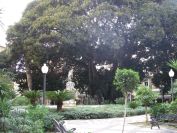 2008-02-15-026-Parque-near-House