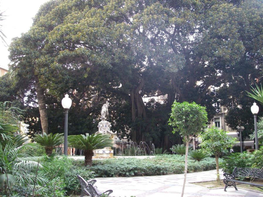 2008-02-15-026-Parque-near-House