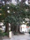 2008-02-15-033-Parque-near-House