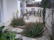 2008-03-21-004-House