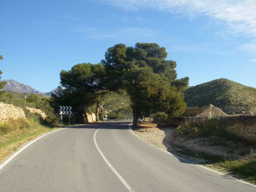 2008-03-22-001-Tree-lined-road