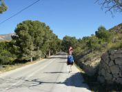 2008-03-22-003-Tree-lined-road