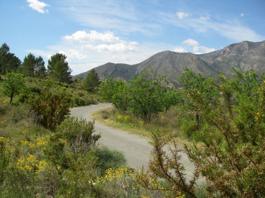 2008-03-22-012-Mountain-road