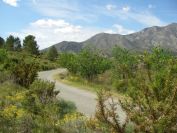 2008-03-22-013-Mountain-road