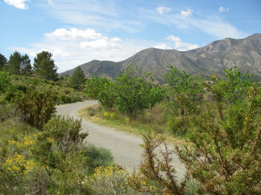 2008-03-22-013-Mountain-road
